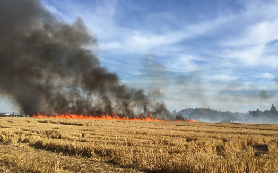 Large field fire