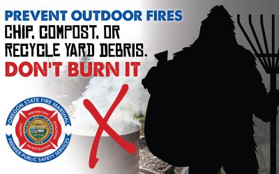 Yard debris removal.